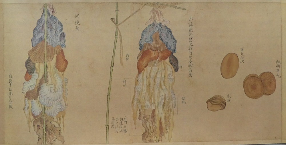 小石元俊 解剖絵巻』 [古美術こもれび] 骨董,掛軸,絵画の買取と販売,名古屋