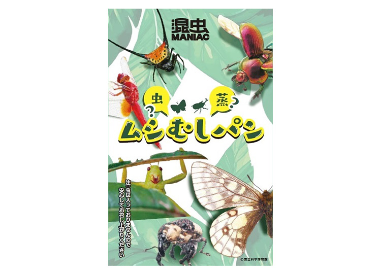 非売品 国立科学博物館 オリジナル標本アクリルスタンド全10種