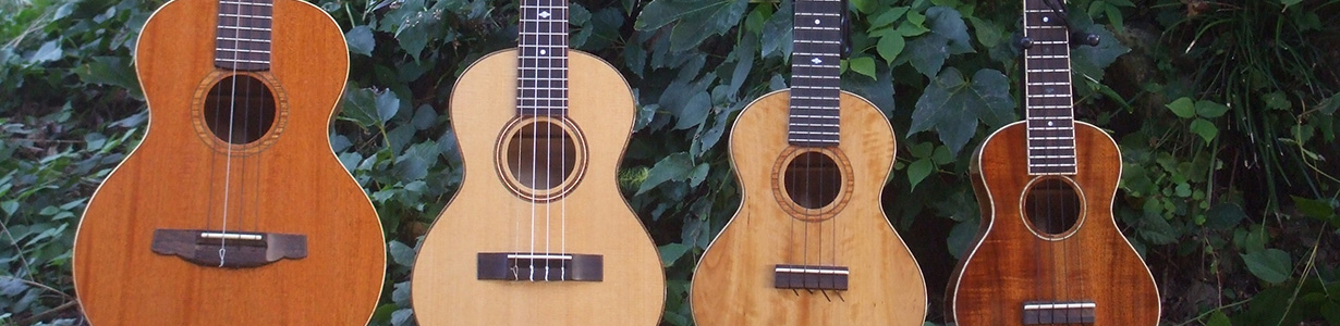 アイリッシュブズーキ – 小坂弦楽器工房