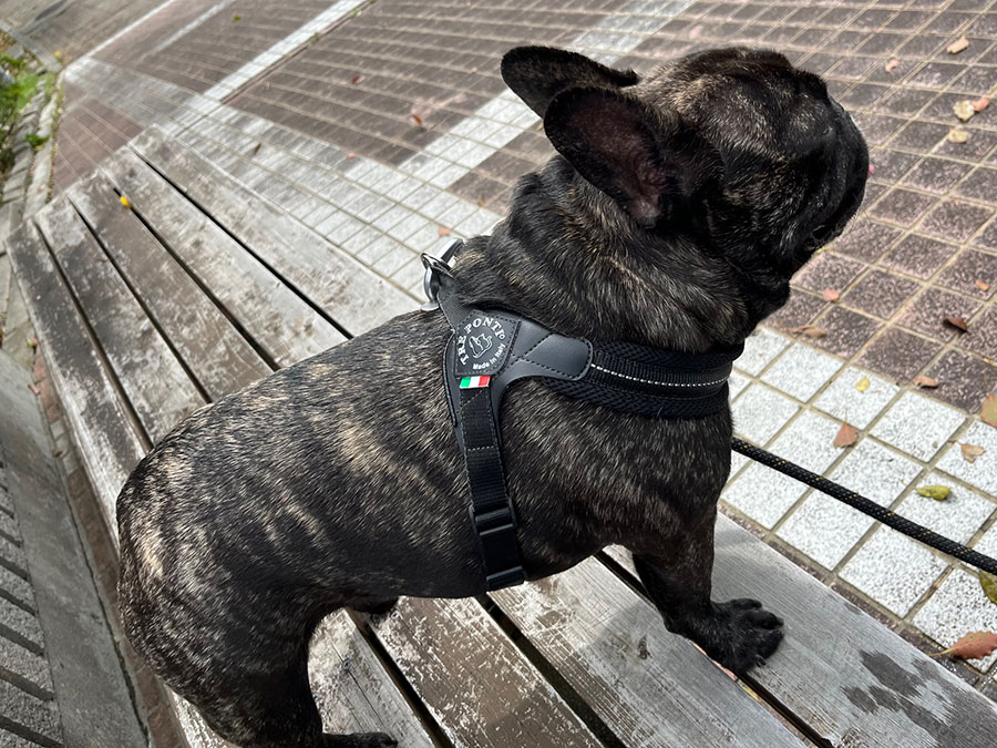 CARTEN製ドリフトシャーシ登場!! | KAWADA BLOG season2