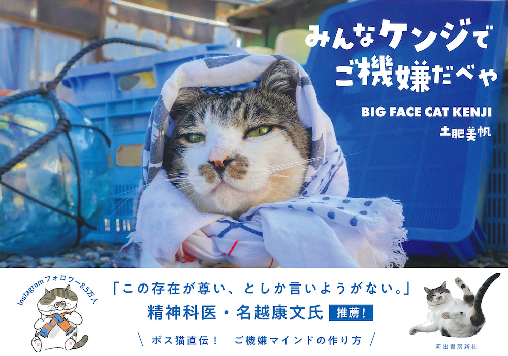 みんなケンジでご機嫌だべや :土肥 美帆 | 河出書房新社