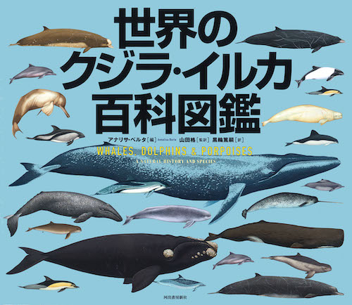 世界のクジラ・イルカ百科図鑑 :アナリサ・ベルタ,山田 格,黒輪 篤嗣