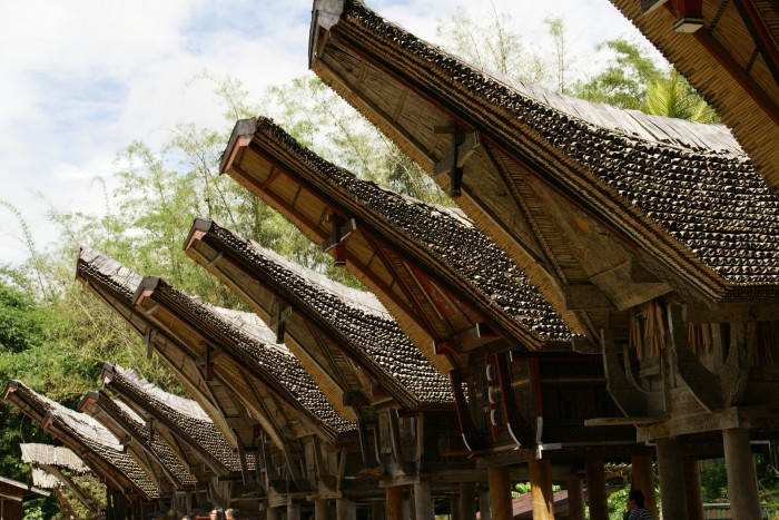 インドネシア スラウェシ島 トラジャ族のイカット5