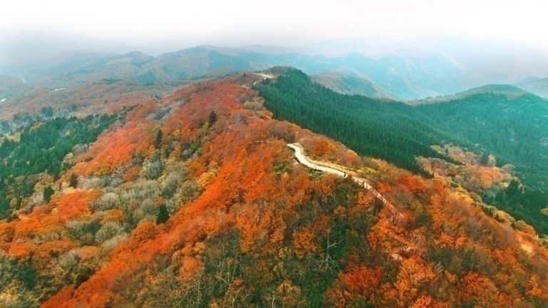 高清水トレイル（高清水高原・御林山・池川山・伯州山） | かがみの
