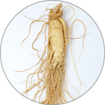 タイセイ株式会社 » 回帰水C1