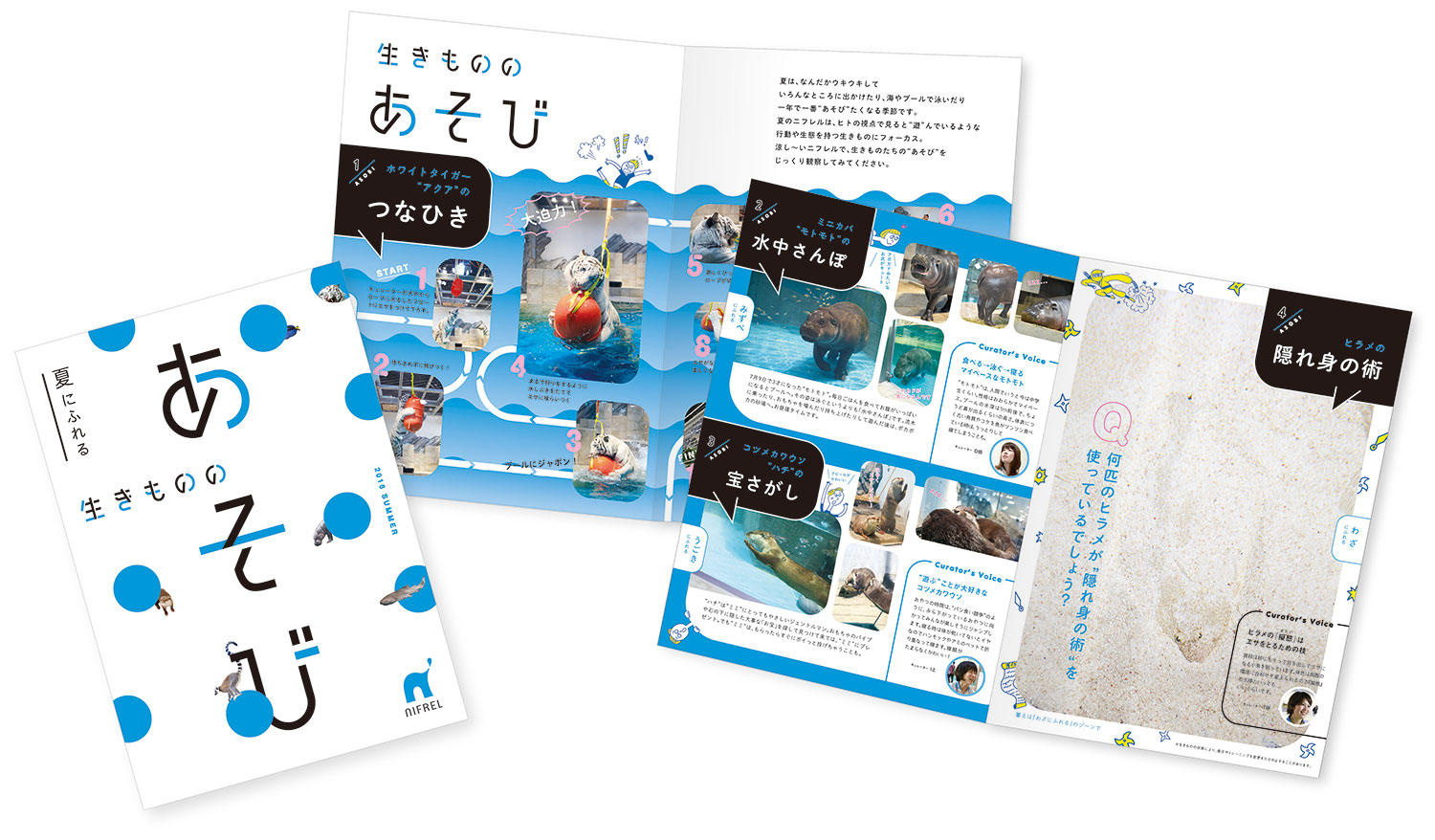 海遊館ミュージアム フルコンプ リーフレット付 【公式通販】