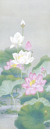 聖蓮花 広森 雄（尺八）！ 蓮 - 掛け軸（掛軸）販売通販なら掛け軸総本家