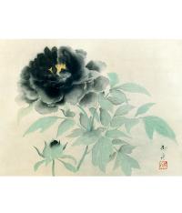 速水御舟 墨牡丹 木版画 楽天市場】速水御舟 『墨牡丹』 高級額装 : 光