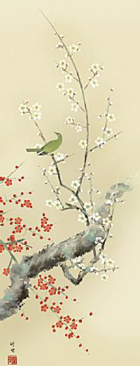 紅白梅に鶯 田村竹世 （三美会）尺三！ 春 - 掛け軸（掛軸）販売通販