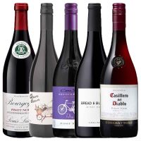 セット〕赤い果実想わせるワイン飲み比べ5本セット 750ml×5本｜格安