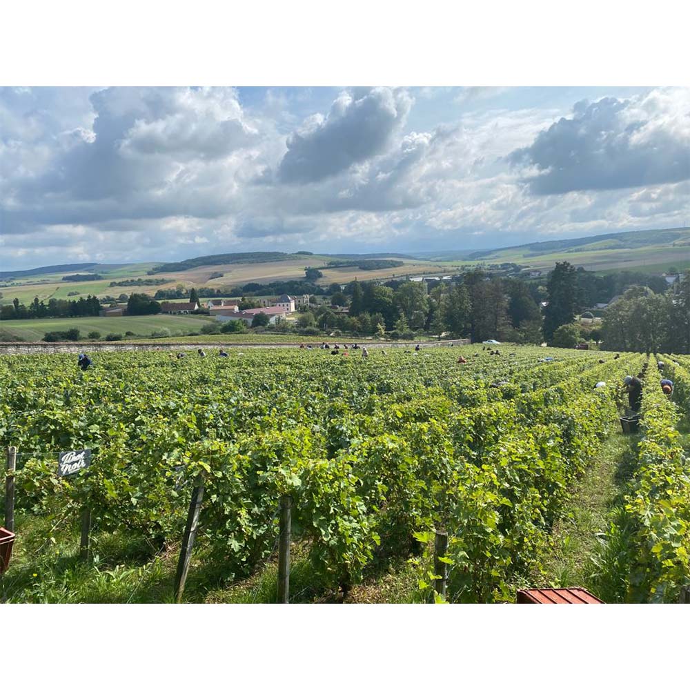 箱入〕ヴィエイユフランス クロムヴィンテージ 2007 750ml｜格安・安い