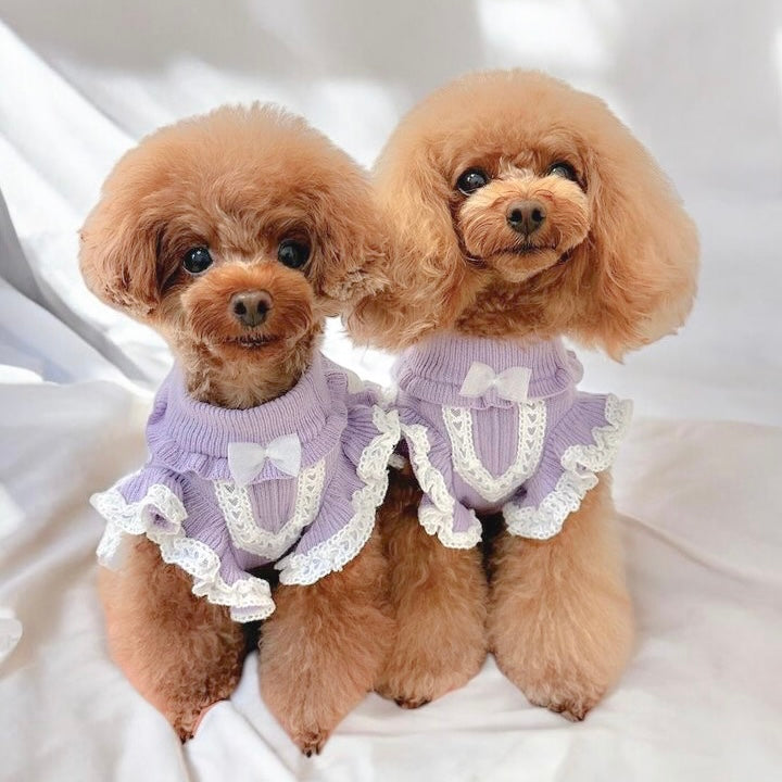 カシミヤ混レース貼り付けワンピース | 犬服 小型犬 ドッグウェア 秋冬