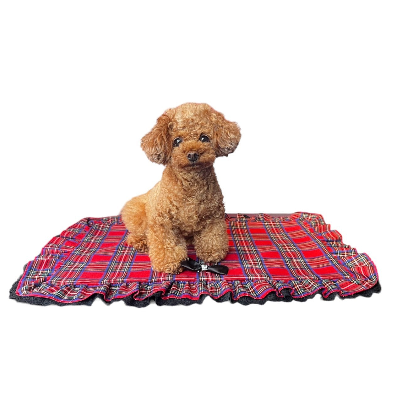 再入荷】チェックカフェマット（XSサイズ・Mサイズ）| 小型犬 お出かけ