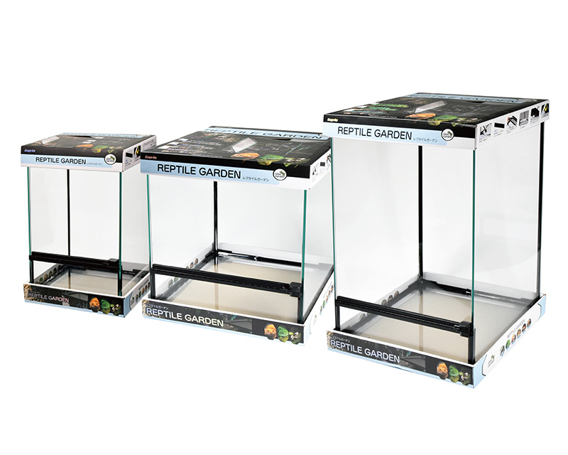 爬虫類 ケージ⑥