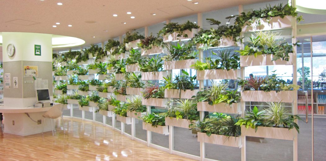 壁面緑化・パーテーション | 観葉植物の生産・レンタル・販売｜株式