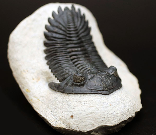 これを超えるメタカンティナが一体いくつかあるというのか、これぞ