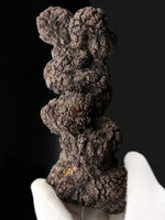 恐竜のウンチ化石、化石の通販・販売｜厳選した本物の恐竜のウンチ化石