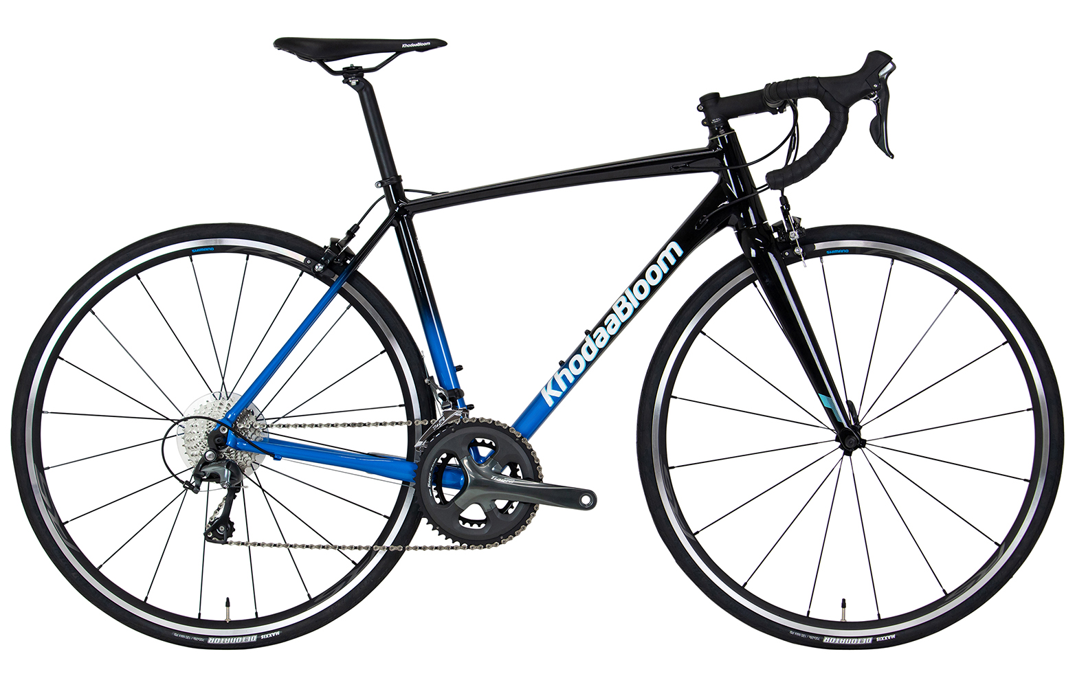 FARNA TIAGRA - KhodaaBloom