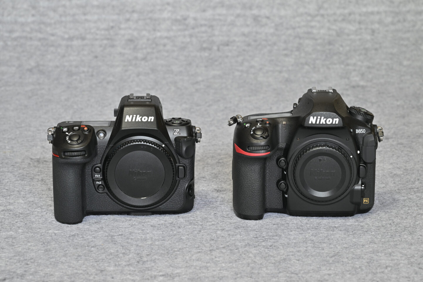 ニコン Z 8｜野鳥撮影でのインプレッション | ShaSha