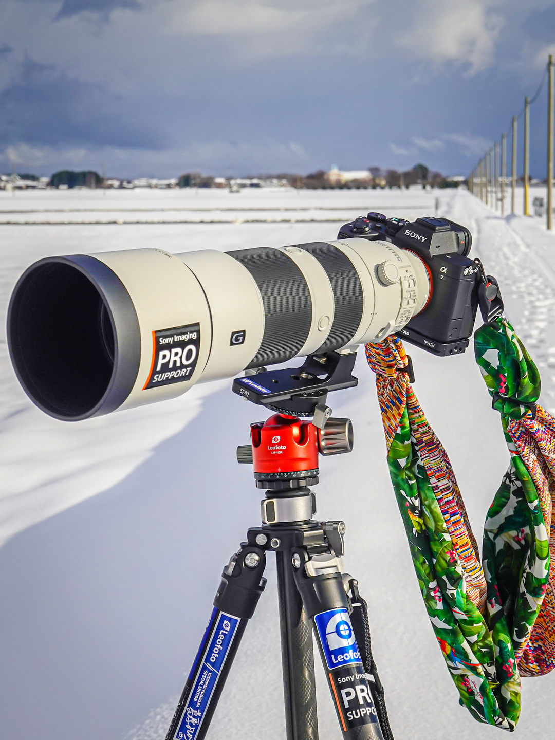 ソニー α7 IV レビュー｜葛原よしひろ | ShaSha