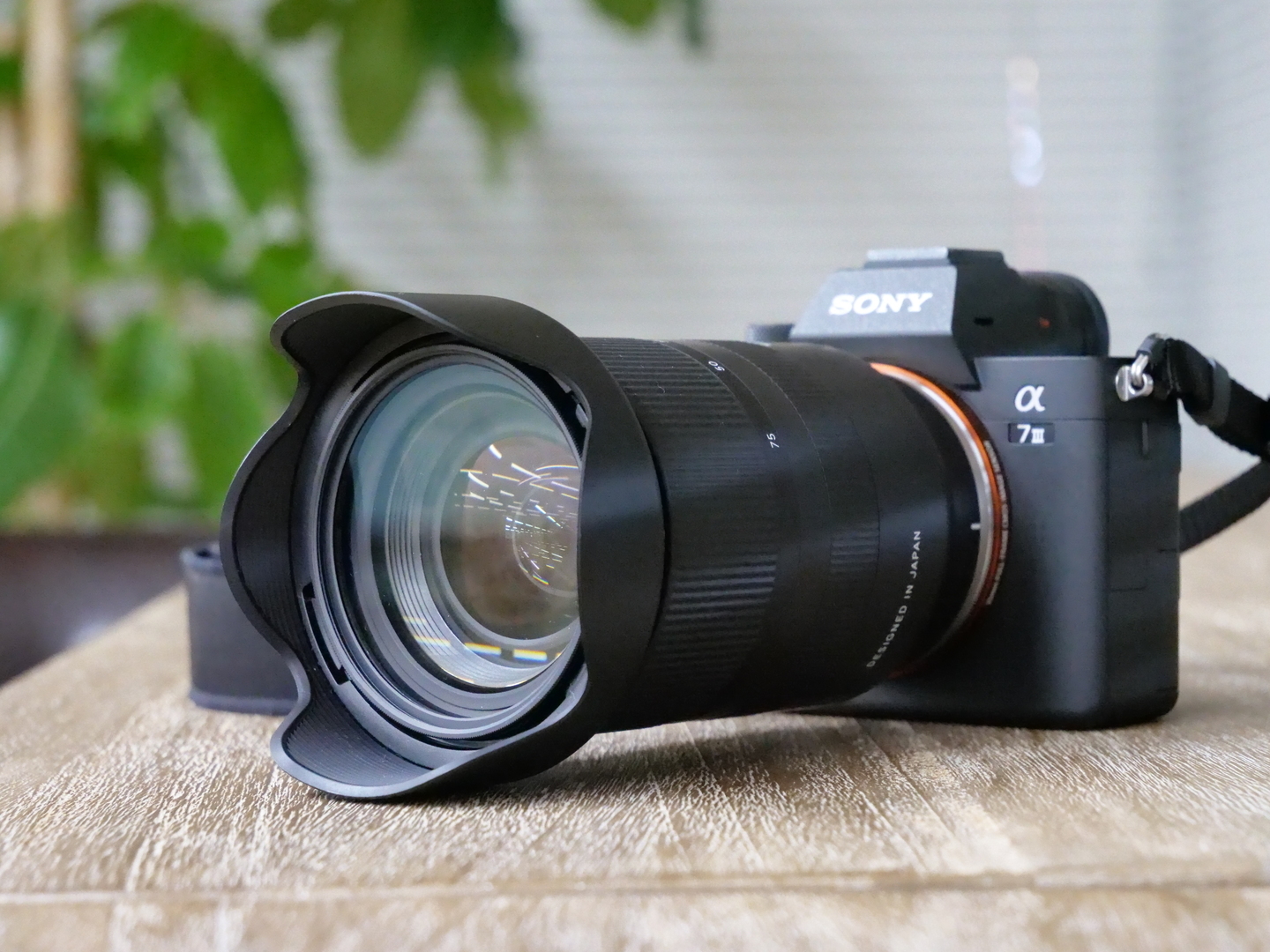 レビュー】TAMRON 28-75mm F/2.8 Di III RXDはソニーミラーレスカメラ