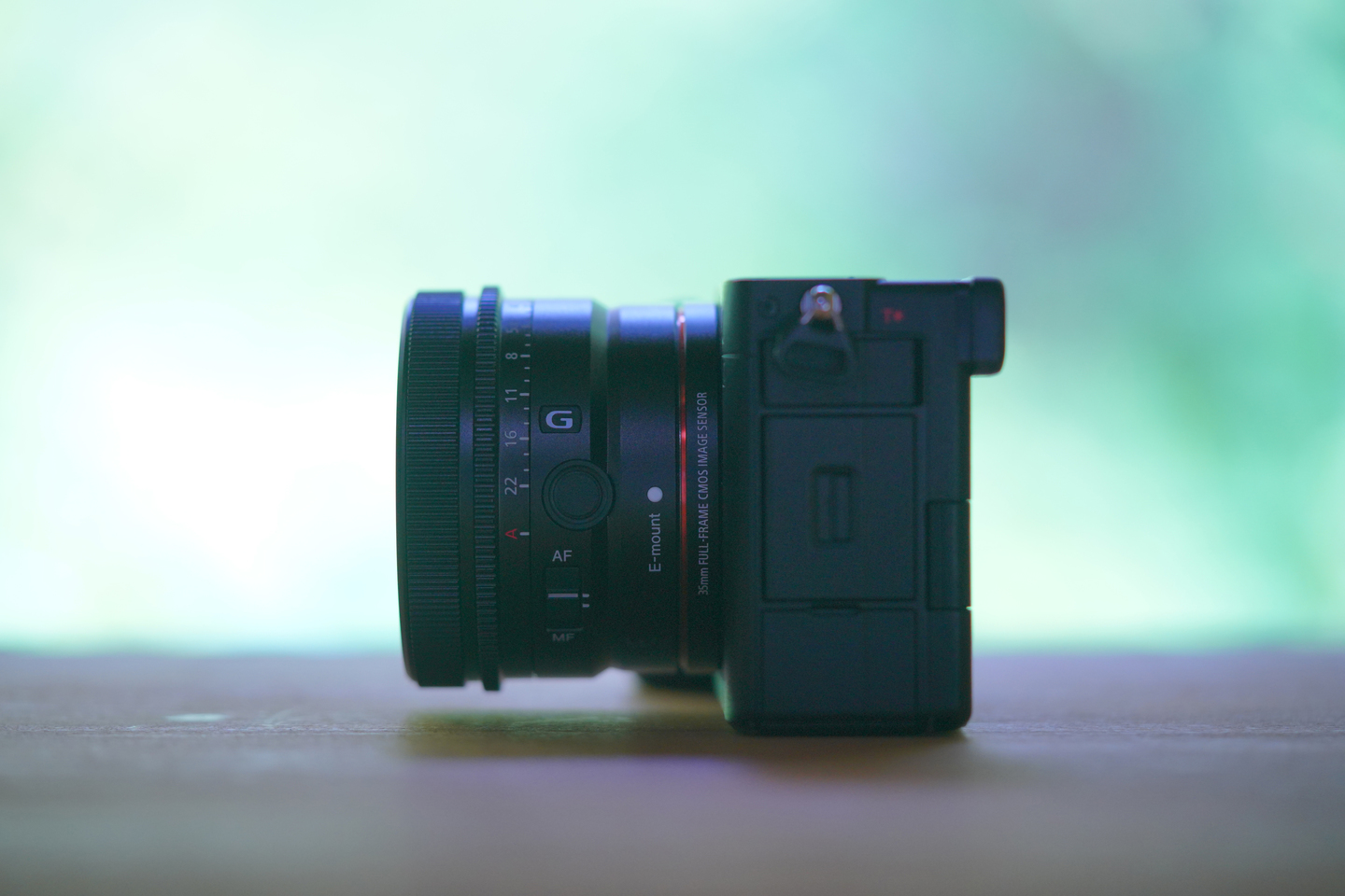 ソニー FE 50mm F2.5 G レビュー｜山本まりこ | ShaSha