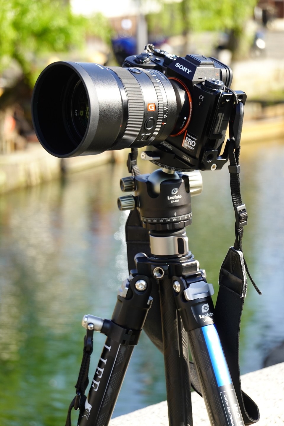 ソニー FE 50mm F1.2 GM レビュー｜葛原よしひろ | ShaSha