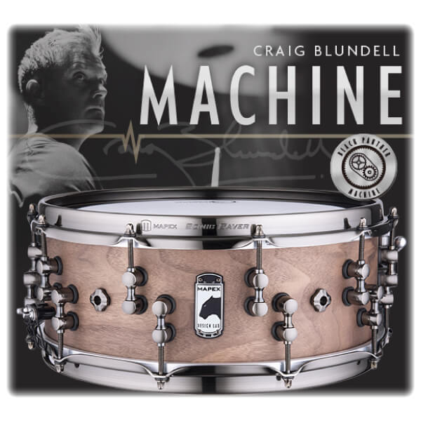 ファルキドンミイロタテハ（フルニエラ）♂2パターンセット ファル