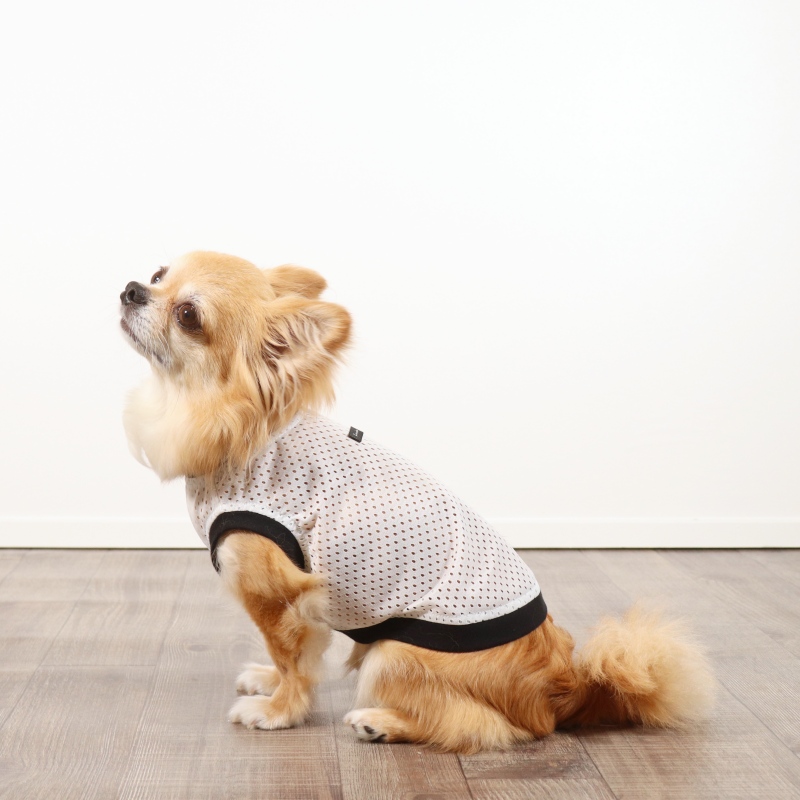 蛍光ピンクメッシュのタンクトップ小さめSサイズイタグレ服犬服