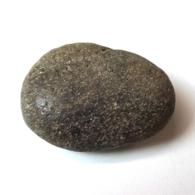 恐竜の胃石 （産地 アメリカ オクラホマ州） - 紀伊國屋書店ウェブ