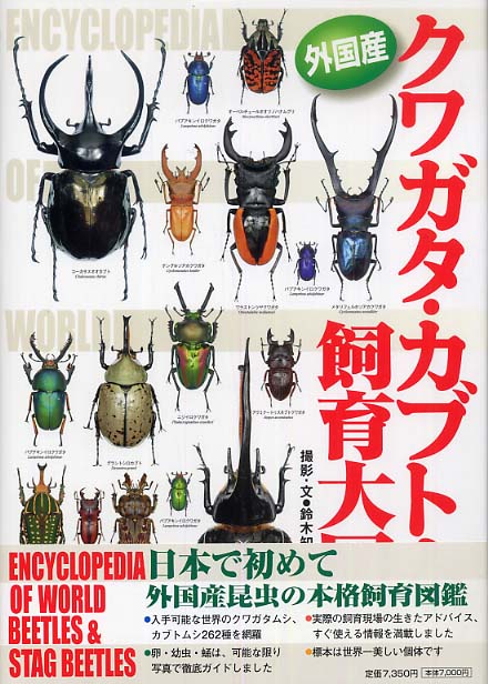 外国産クワガタ・カブトムシ飼育大図鑑 / 鈴木 知之【撮影・文