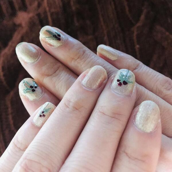 エクシアネイルカラー12点セット アルビオン エクシア ヴェルニ