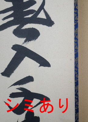 美品 掛け軸 細合喝堂作「春入千林処々鶯」大徳寺 共箱 禅語 縁起物 初