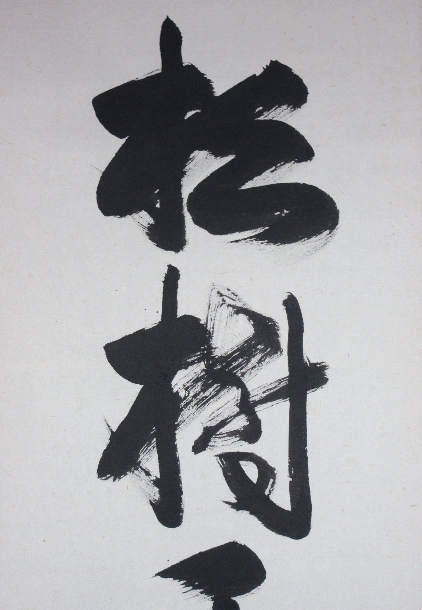 色紙 福自天来 裏千家鵬雲斎大宗匠筆 茶道具