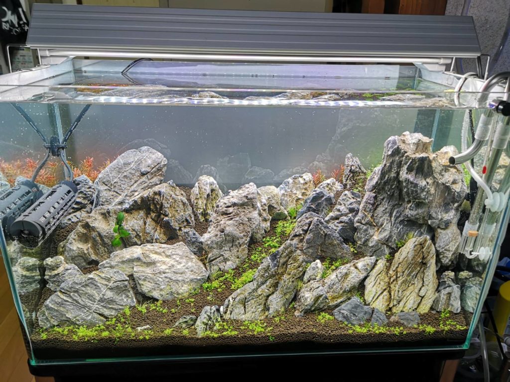 1[新品]ADA 龍王石 約4キロ☆水槽 レイアウト 特級形状 青龍石 石組