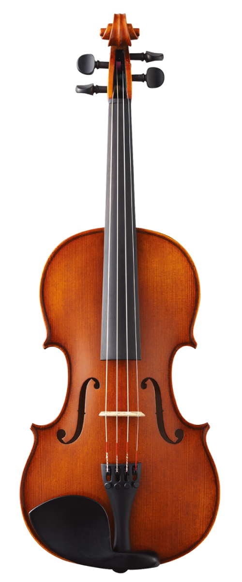 Roderich Paesold 803 4/4 1995 バイオリン セット