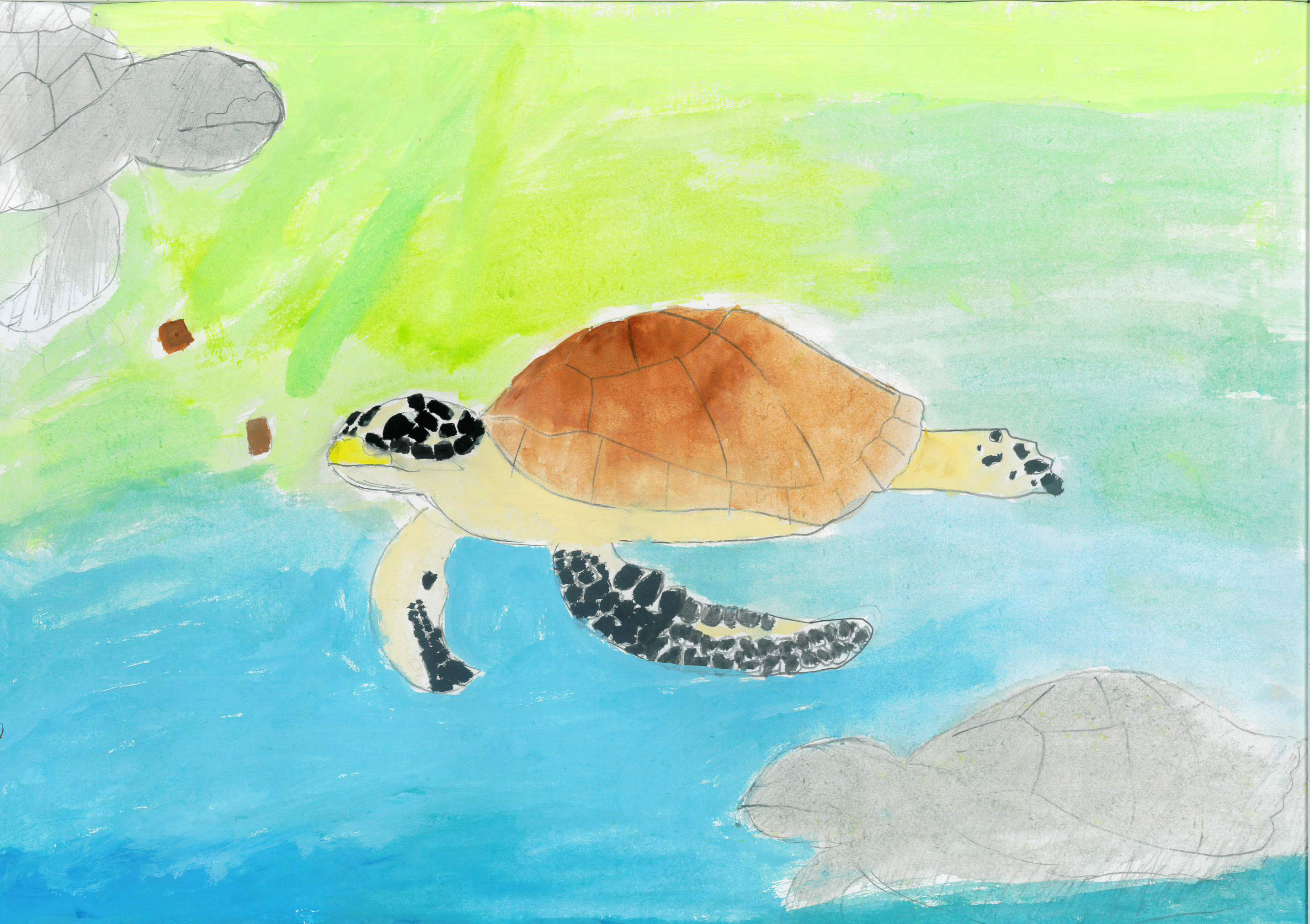 ウミガメおえかきコンテスト2024 | ウミガメおえかきコンテスト2024