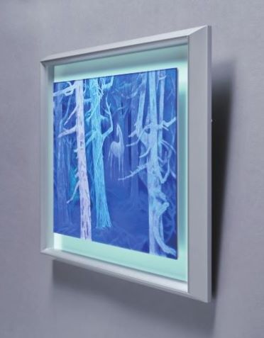 東山魁夷 マスターピース コレクション™ ｢白馬の森 特装版」限定800部