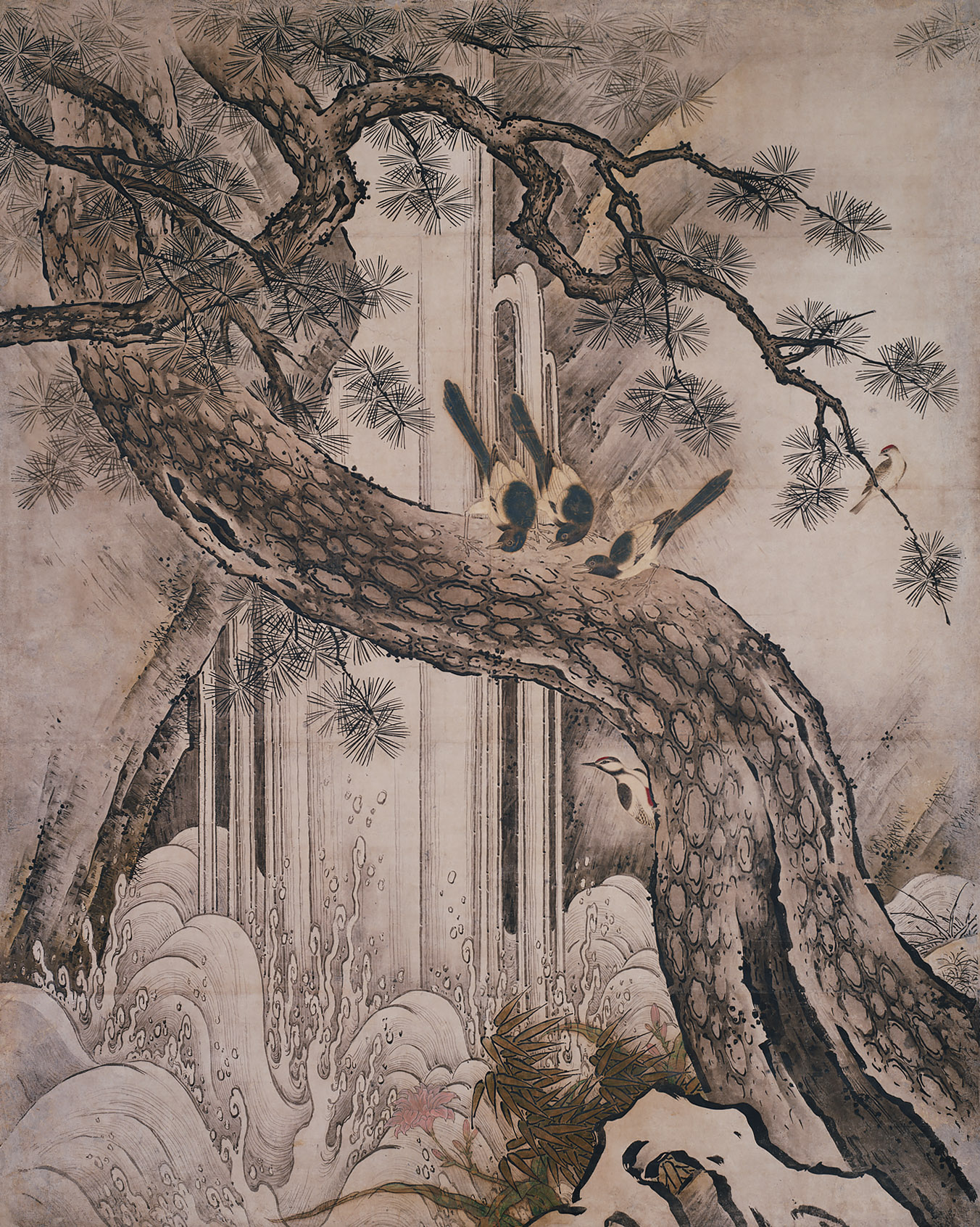 四季花鳥図 - 名品紹介 - 京都国立博物館