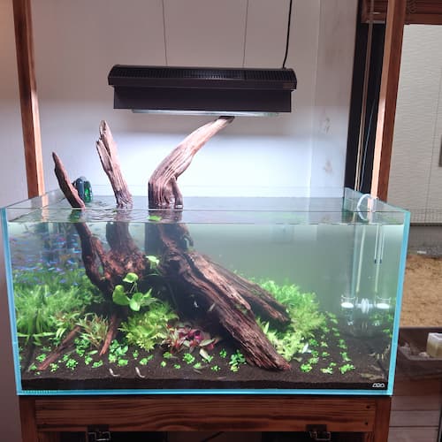 ADA 90センチ水槽 水槽台セット 引取り限定