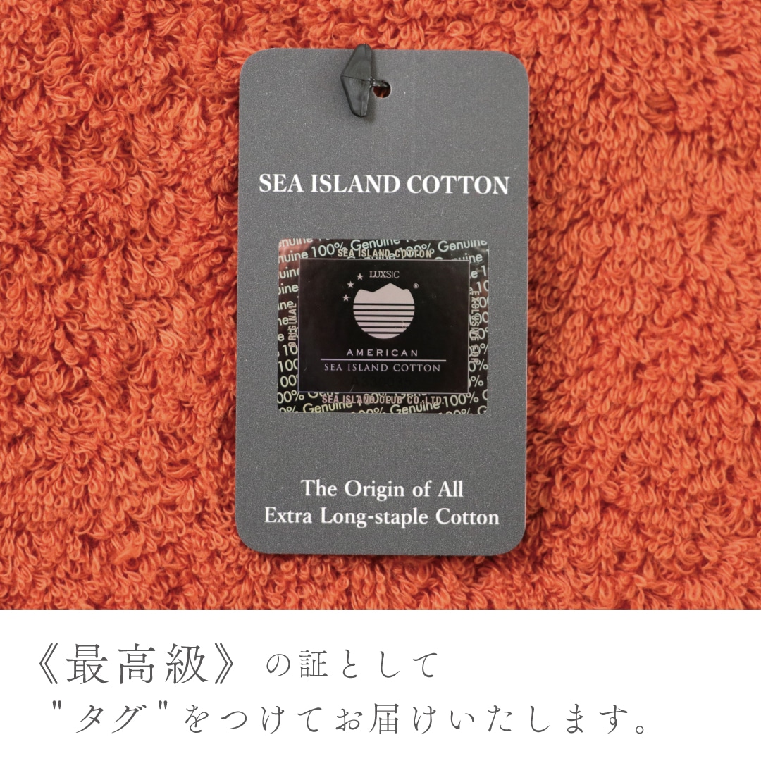 ラディアン バスタオル