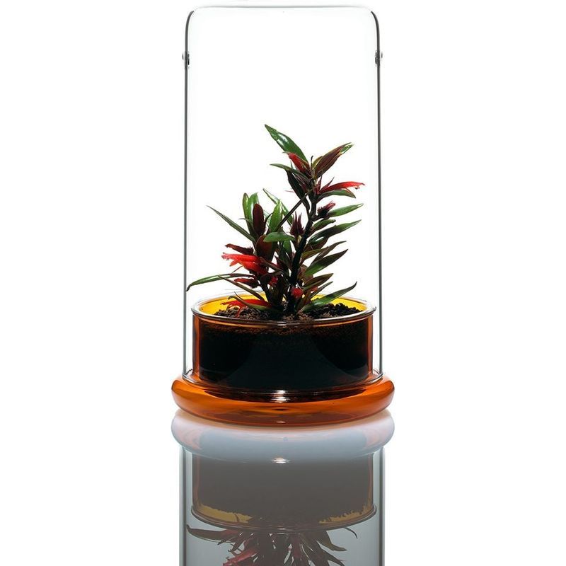 DOOA CELL Amber – horizon aquatics