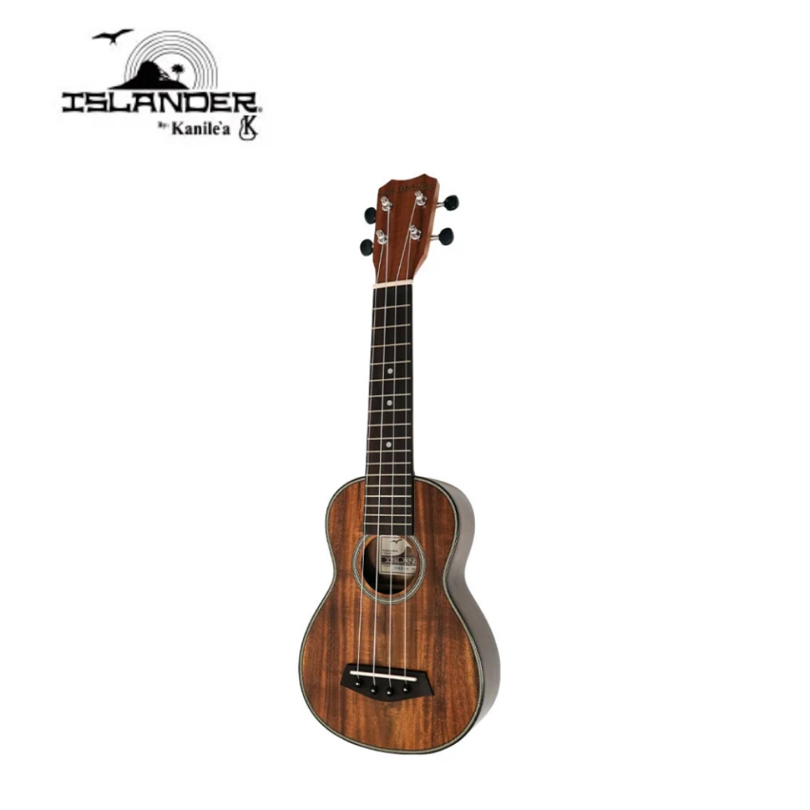 DTV-GT : Duesenberg Starplayer TV/ Gold Top