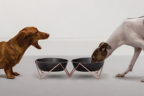 MEOW MEOW ダブルドッグボウル Bendo （デザイナーズ小型犬用食器）