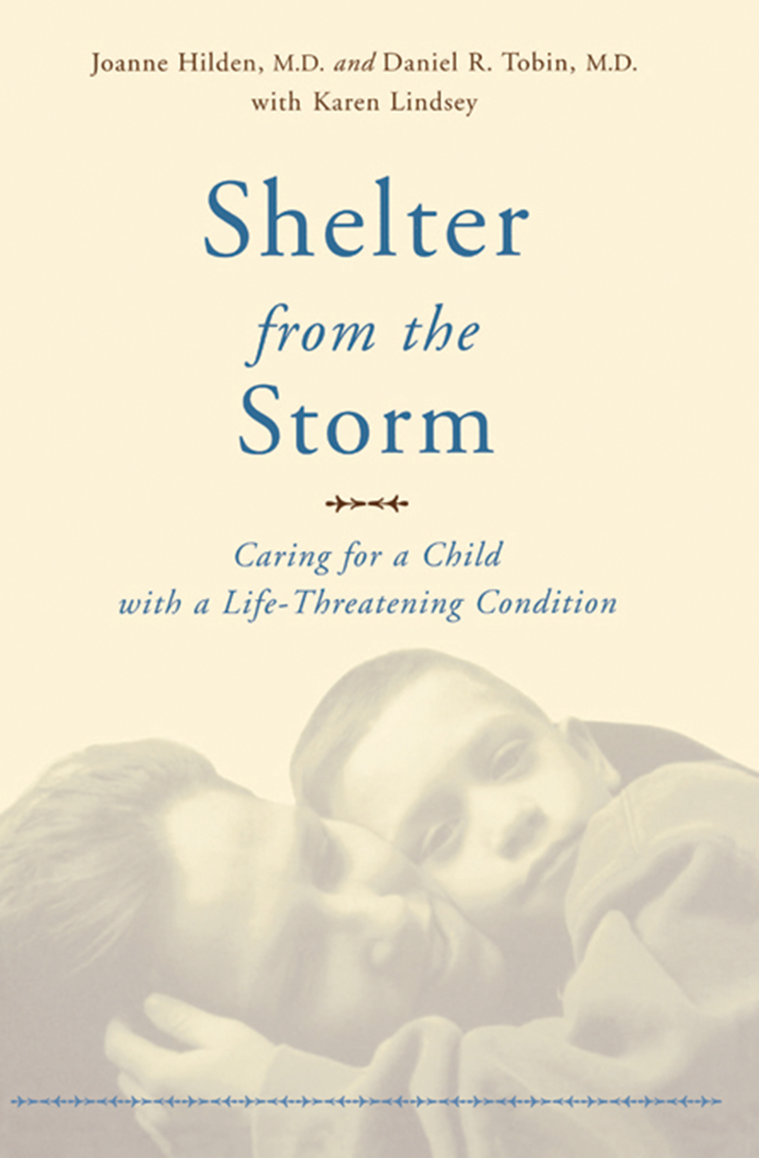 Shelter From The Storm by Joanne Hilden & Daniel Tobin & Karen