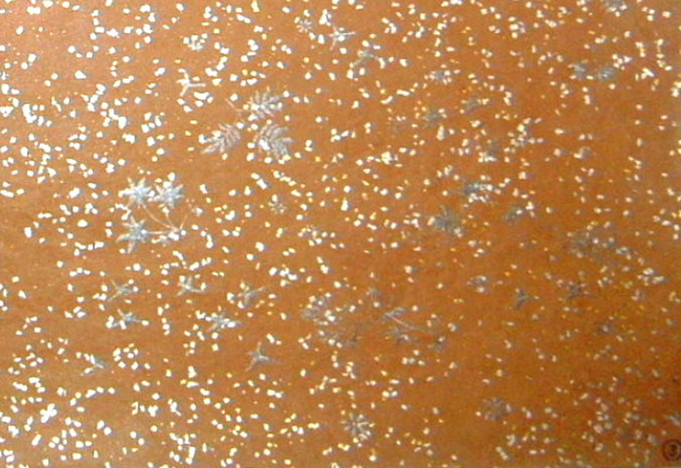 貫之集・上3 第四紙 染紙・全面金銀小切箔振 半懐紙