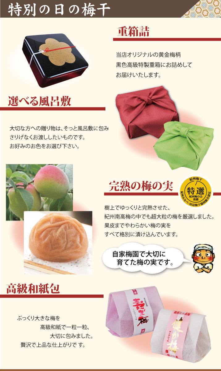 送料無料 ギフト 極上 紀州 南高梅 黄金梅柄の 重箱入 一粒包 健か梅