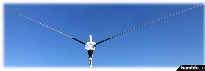 独自】＜各バンドで使えるお得な「てんこ盛りバージョン」も限定販売