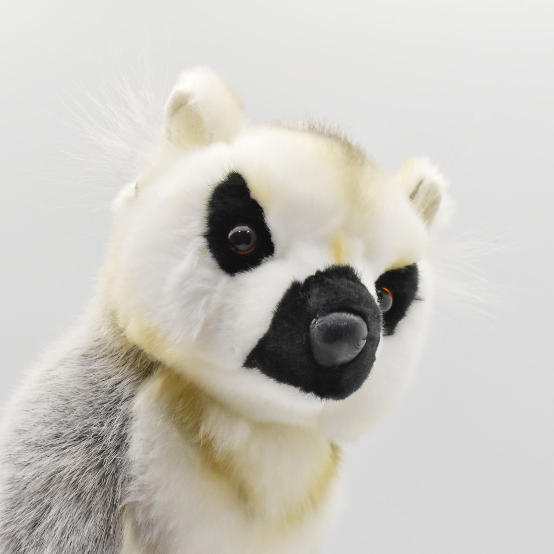 ペルー絶滅危惧種限定アルバム 2023記念硬貨アニマル10枚セット ペルー