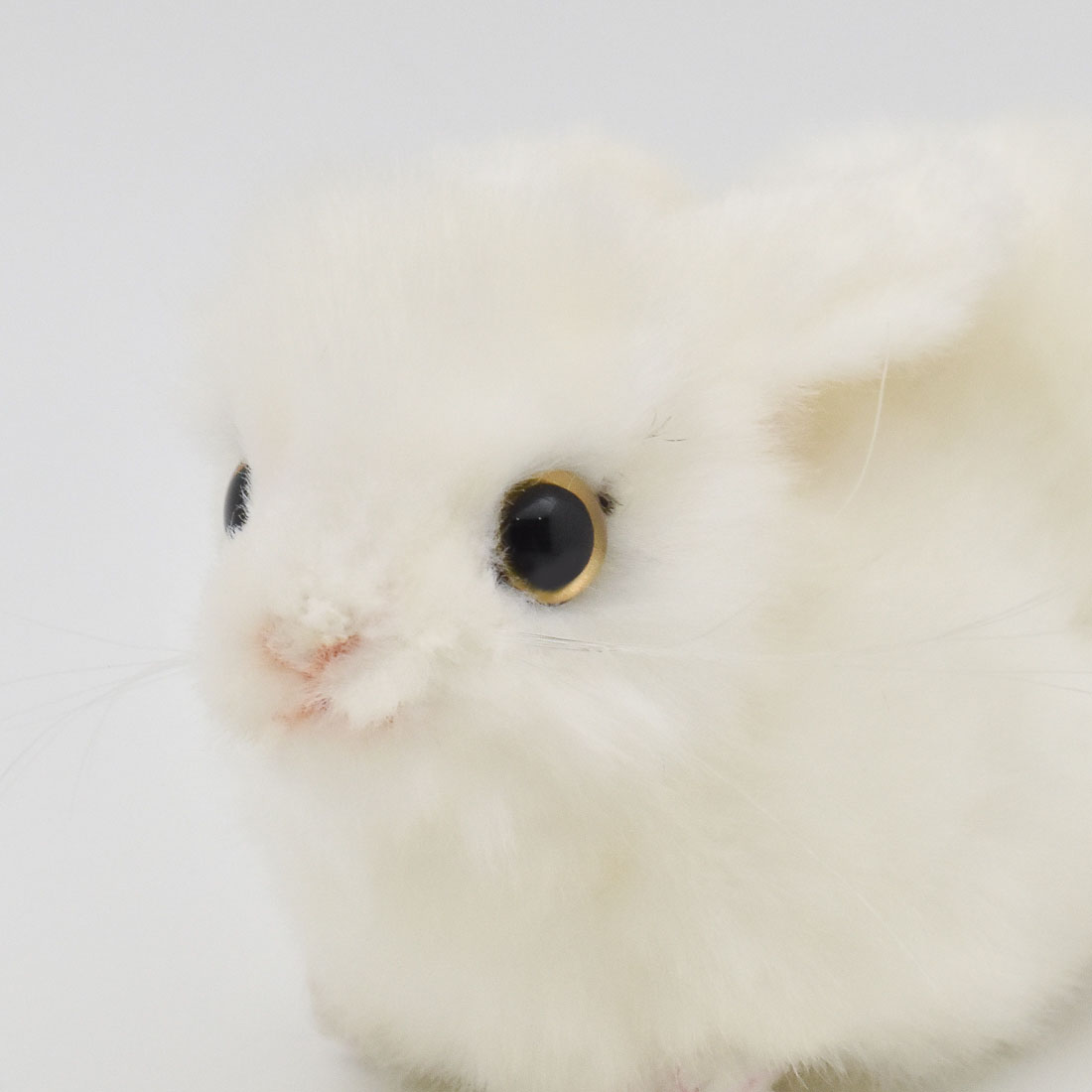 ウサギ 16 | HANSA